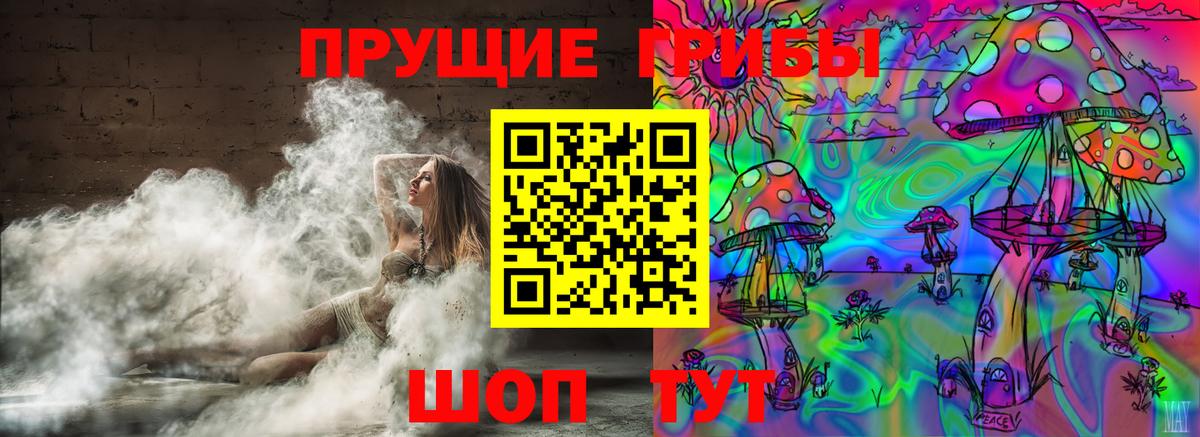 Галлюциногенные грибы Psilocybine cubensis Нефтекумск
