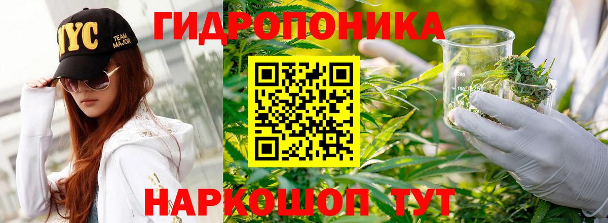 Нефтекумск  Шишки марихуана конопля  Шишки марихуана AK-47  Шишки марихуана Ganja  Конопля SATIVA & INDICA  Вход с VPN 